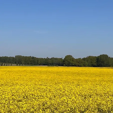 Lueneburger Heide Mit Therapiemoeglichkeit בית נופש