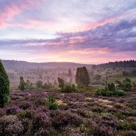 Lueneburger Heide Mit Therapiemoeglichkeit Vakantiehuis