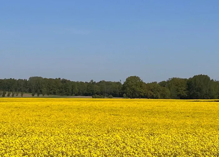 Lüneburger Heide Mit Therapiemöglichkeit Сasa de vacaciones