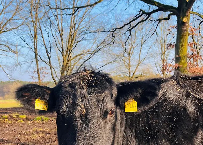 Lüneburger Heide Mit Therapiemöglichkeit Сasa de vacaciones *