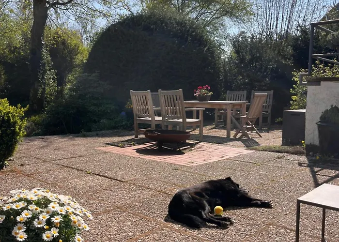 Lüneburger Heide Mit Therapiemöglichkeit Jelmstorf