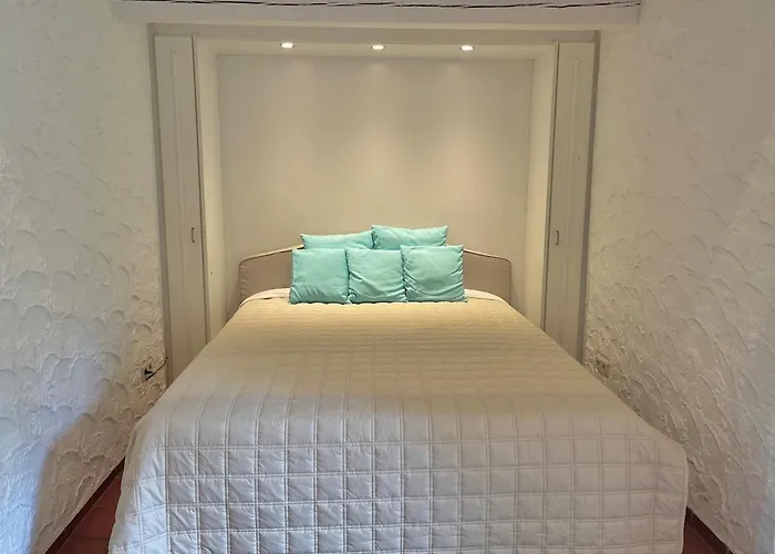 Lüneburger Heide Mit Therapiemöglichkeit *