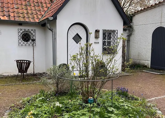 Lüneburger Heide Mit Therapiemöglichkeit